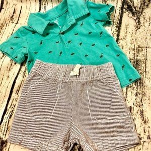 Collared shirt and matching shorts